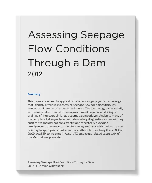 Assessing Seepage Flow Conditions Through a Dam cover