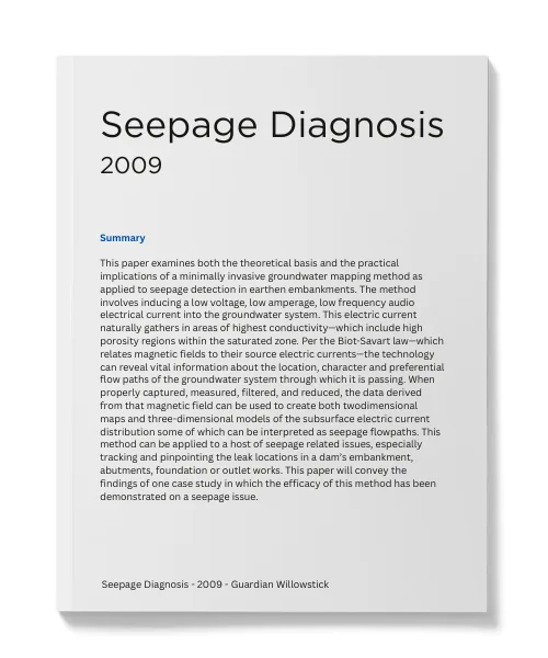 Seepage Diagnosis of Earthen Embankments cover